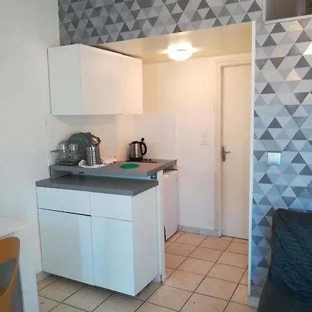 Apartment Jolie Chartreuse Avec Jardin Prive Toulouse